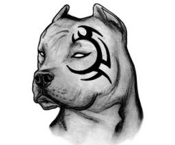 GMExodo